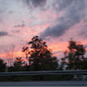 Meet your Posher, Alexandra